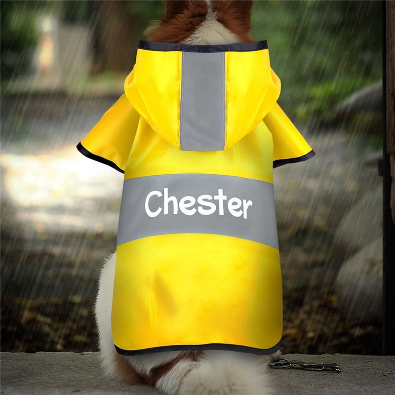 Personalized Yellow Dog Raincoat