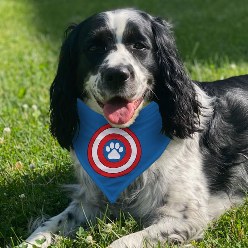 9-12-2025-Pet-Hero-Bandanas