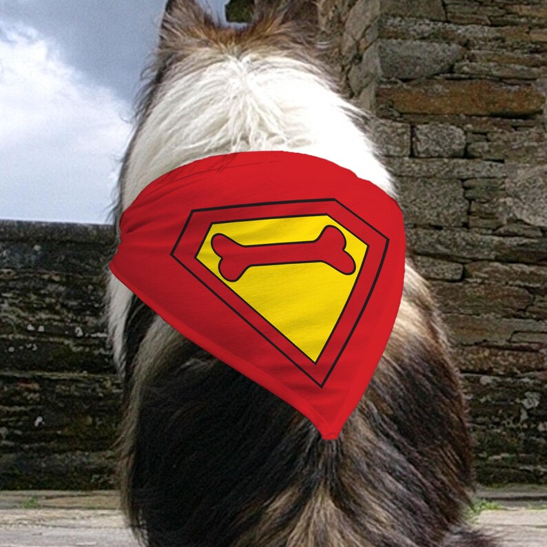 9-12-2025-paws of steel